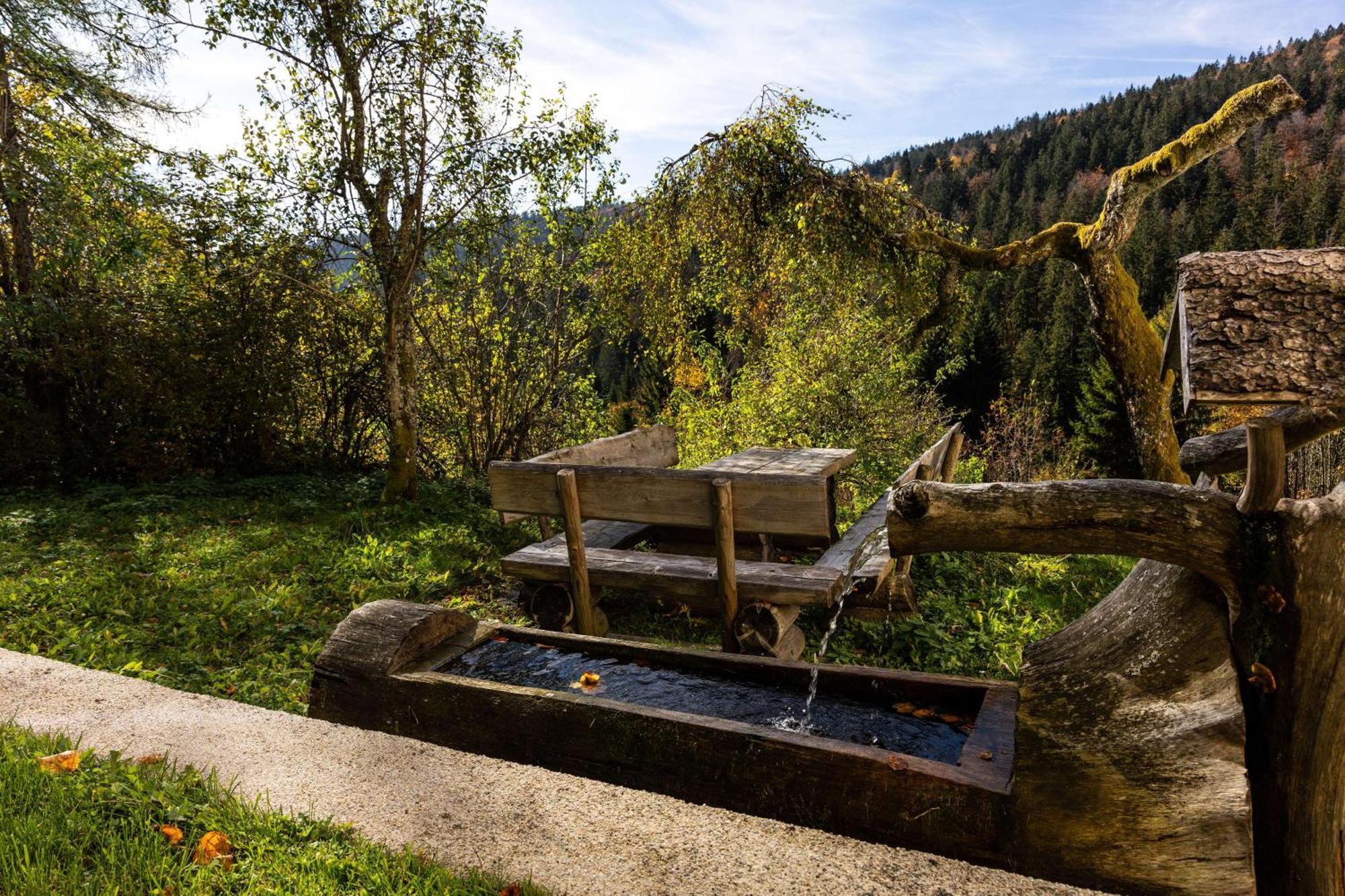 קלפר אם הוכפיכט Forsthaus Apartments - Ski + Bike & Hike מראה חיצוני תמונה