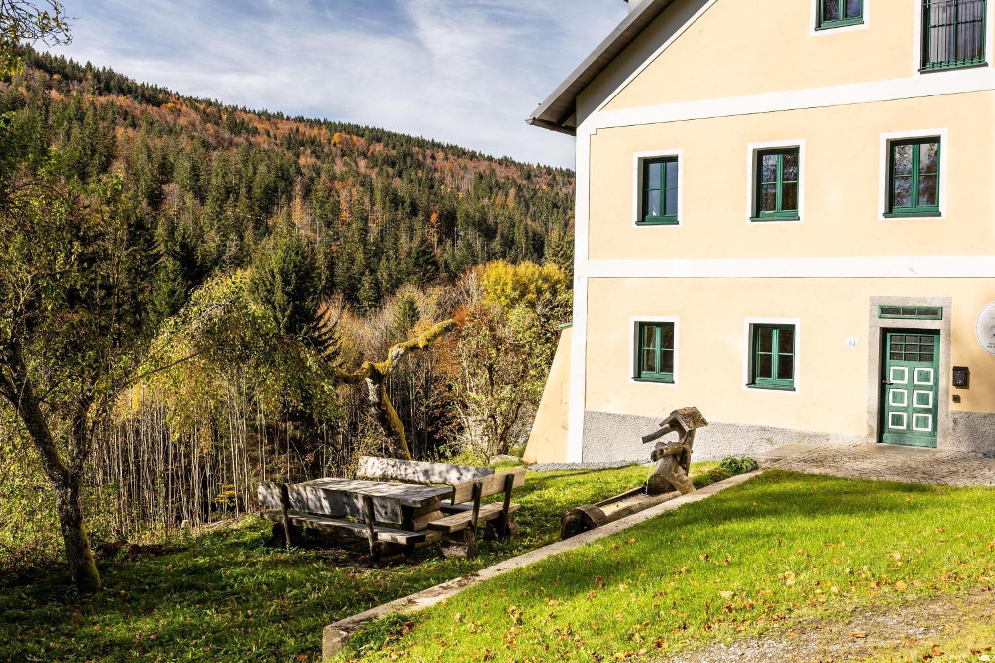 קלפר אם הוכפיכט Forsthaus Apartments - Ski + Bike & Hike מראה חיצוני תמונה