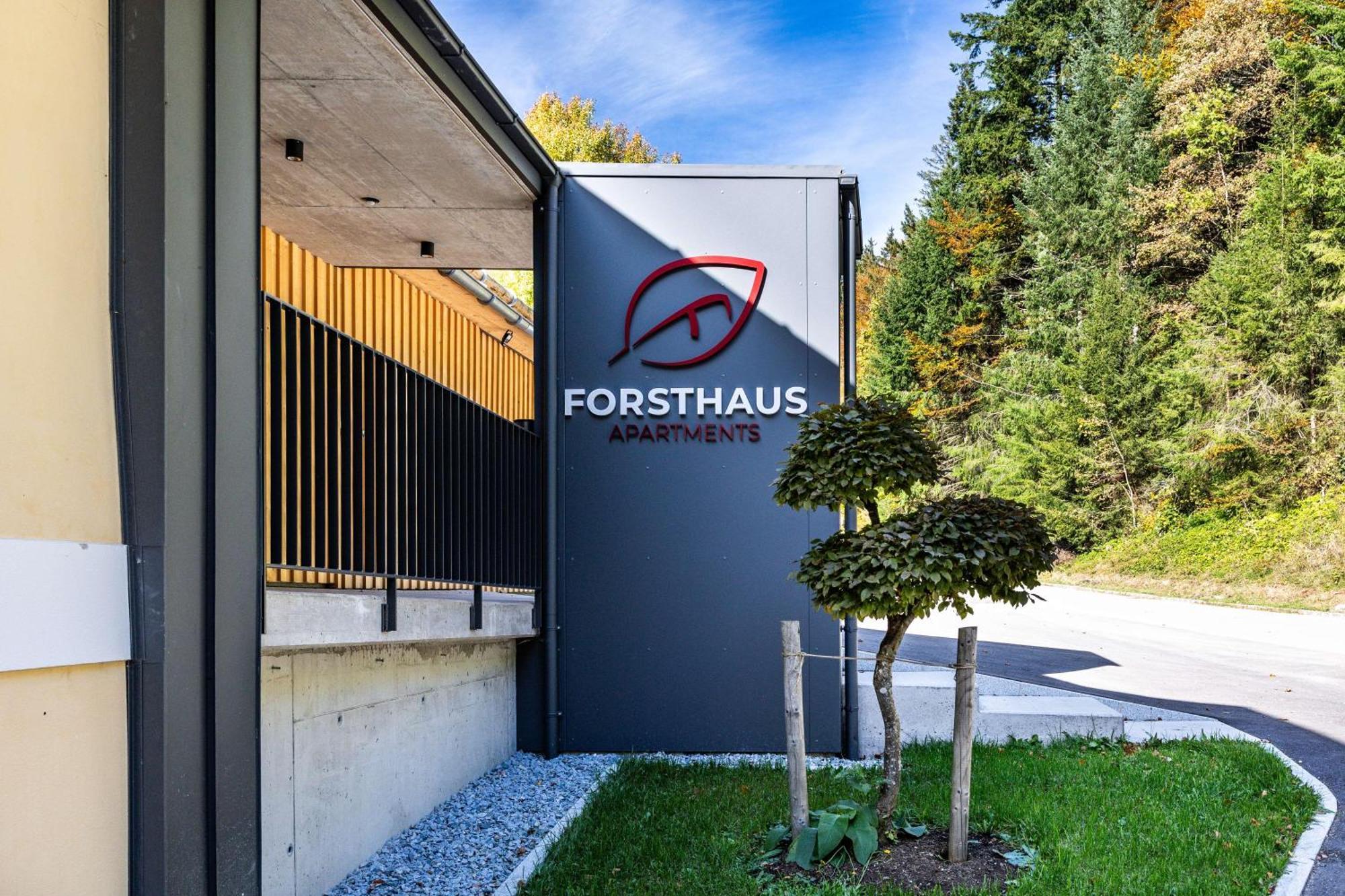 קלפר אם הוכפיכט Forsthaus Apartments - Ski + Bike & Hike מראה חיצוני תמונה